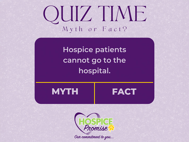 Busting the hospice myth